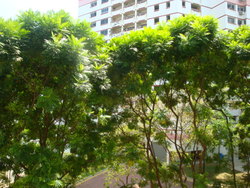 Blk 21 Queen's Close (Queenstown), HDB 5 Rooms #177245992